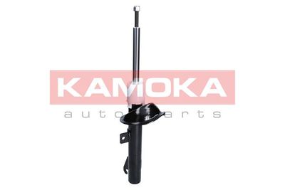 Shock Absorber 2000209