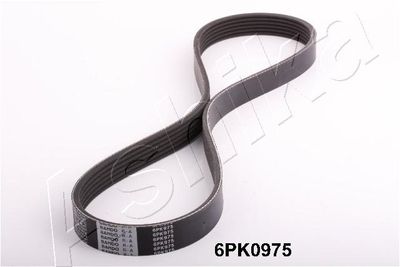 V-Ribbed Belt 112-6PK975
