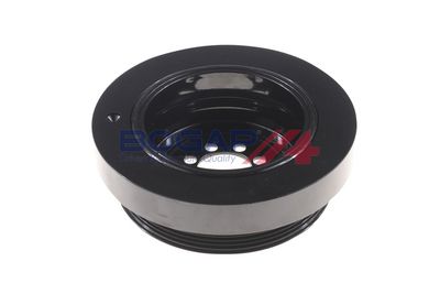 FULIE CUREA ARBORE COTIT BOGAP B1213102 2