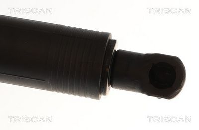 Plynárenská vzpera (pneumatická pružina), zavazadlový priestor TRISCAN 8710 11381