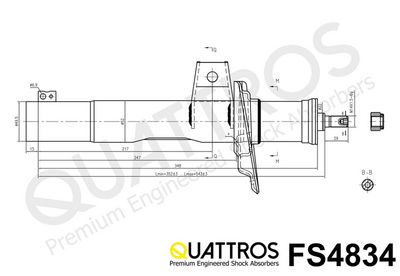 AMORTIZOR DAVID VASCO FS4834 2