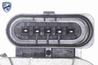 AGR-VENTIL VEMO V10630201 2