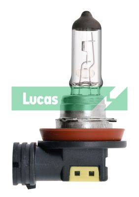 LUCAS Glühlampe, Abbiegescheinwerfer Lucas (LLB708)
