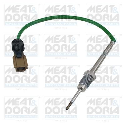czujnik, temperatura spalin MEAT & DORIA 12021E