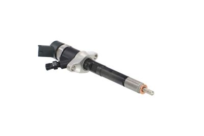 INJECTOR REMANTE 002003001694R 49