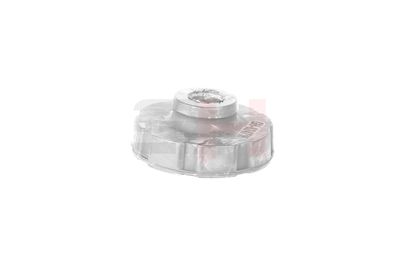 TAMPON CAUCIUC SUSPENSIE GH GH624716 42