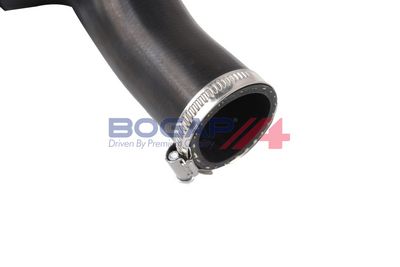 FURTUN EAR SUPRAALIMENTARE BOGAP V1711100 2