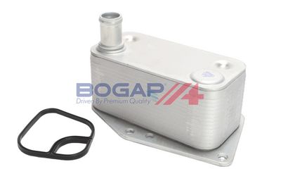 RADIATOR ULEI ULEI MOTOR BOGAP B4222135 3