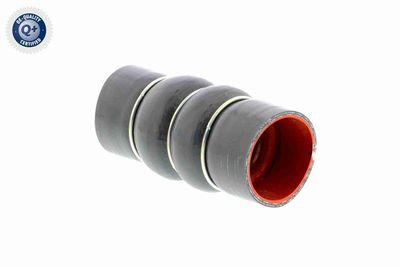 LADELUFTSCHLAUCH VAICO V250949 4