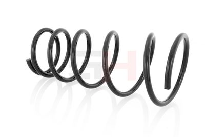 ARC SPIRAL GH GH223204 55