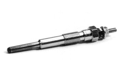 Diesel Glow Plug 0250202004