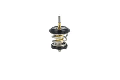 TERMOSTAT LICHID RACIRE NRF 725250 4