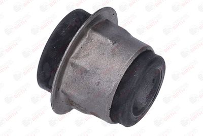 SUPORT TRAPEZ BIRTH 2008 5