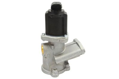 EGR Valve ENT500030