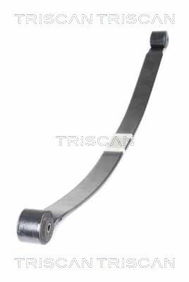 TRISCAN Federnpaket