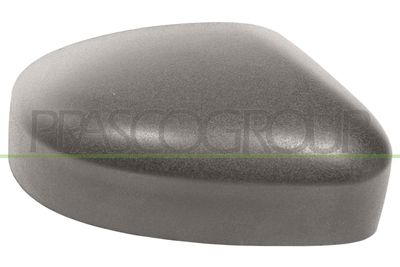 ACOPERIRE OGLINDA EXTERIOARA