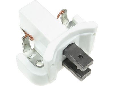 Halter, Kohlebürsten