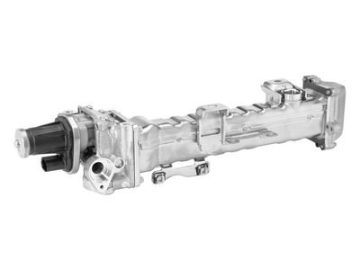 MODUL-EGR BorgWarner 749010D0 2