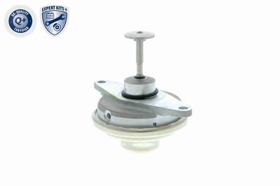 SUPAPA EGR VEMO V406300241 3