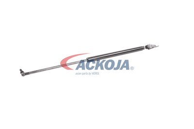 AMORTIZOR PORTBAGAJ ACKOJA A320095 33