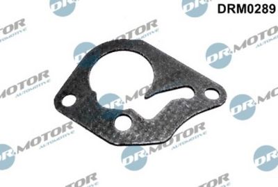 Těsnění, vakuové čerpadlo LIZARTE DRM0289