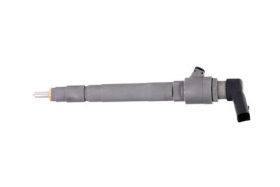 INJECTOR REMANTE 002003001053R 11