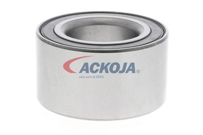 SET RULMENT ROATA ACKOJA A320020 49