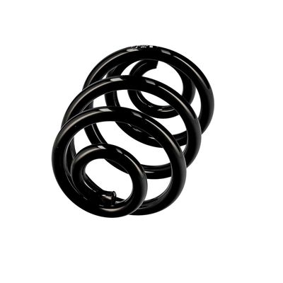 ARC SPIRAL EIBACH R10106 14