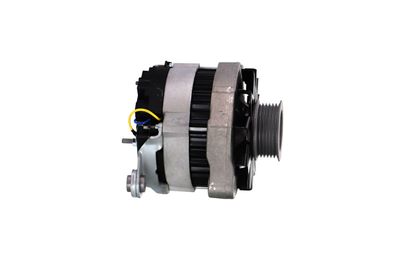 GENERATOR / ALTERNATOR REMANTE 011003000082R 42