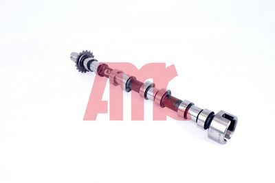 NOCKENWELLE AMC 647146 2