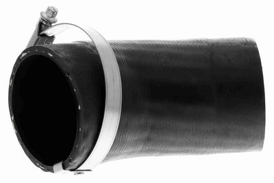 FURTUN EAR SUPRAALIMENTARE