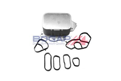 RADIATOR ULEI ULEI MOTOR BOGAP B4222113 5