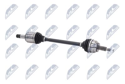 PLANETARA NTY NPWCH126 10