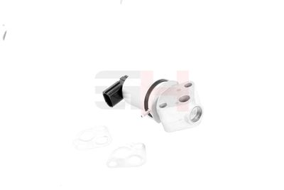 AGR - Ventil GH GH-734711