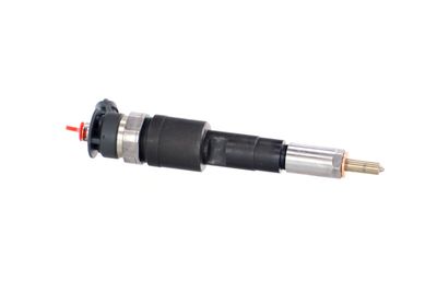 INJECTOR REMANTE 002003001183R 46
