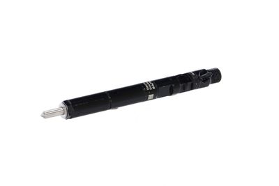 INJECTOR REMANTE 002003000056R 6