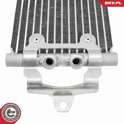 RADIATOR ULEI ULEI MOTOR ESEN SKV 31SKV356 3