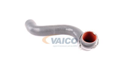 FURTUN EAR SUPRAALIMENTARE VAICO V460823 17