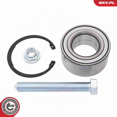 SET RULMENT ROATA ESEN SKV 85SKV056 1