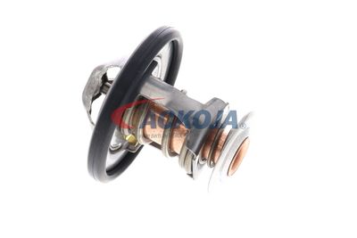 TERMOSTAT LICHID RACIRE ACKOJA A70990031 39