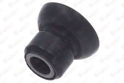 BUCSA ARBORE DE DIRECTIE BIRTH 40641 2