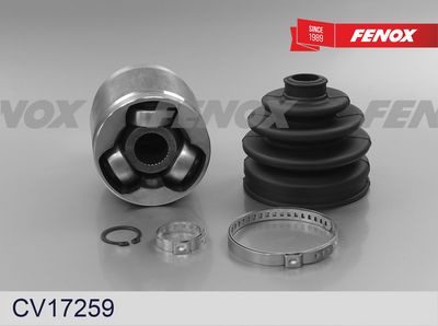 каре комплект, полуоска FENOX CV17259