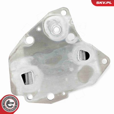 RADIATOR ULEI ULEI MOTOR ESEN SKV 31SKV273 2
