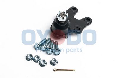 Šarnyras / girgždukas