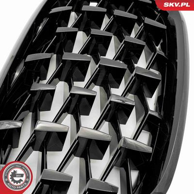 GRILA RADIATOR ESEN SKV 66SKV291 6