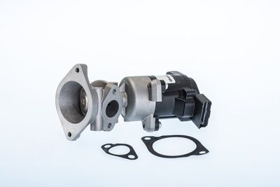 Zawór AGR BORGWARNER 710984R