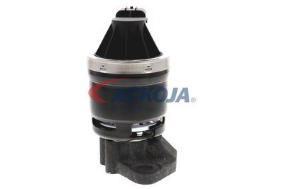 SUPAPA EGR ACKOJA A26630002 50