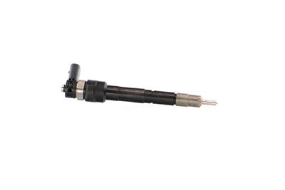INJECTOR REMANTE 002003000034R 40