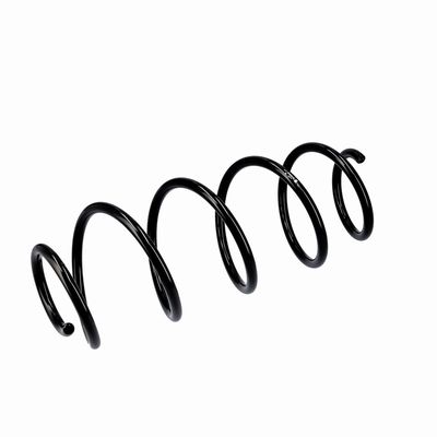 ARC SPIRAL EIBACH R10293 17