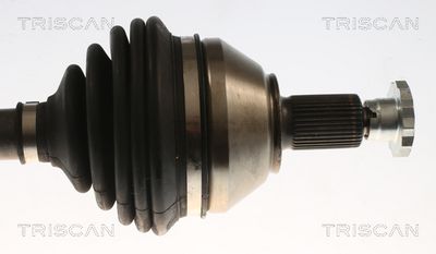 PLANETARA TRISCAN 8540296061 2